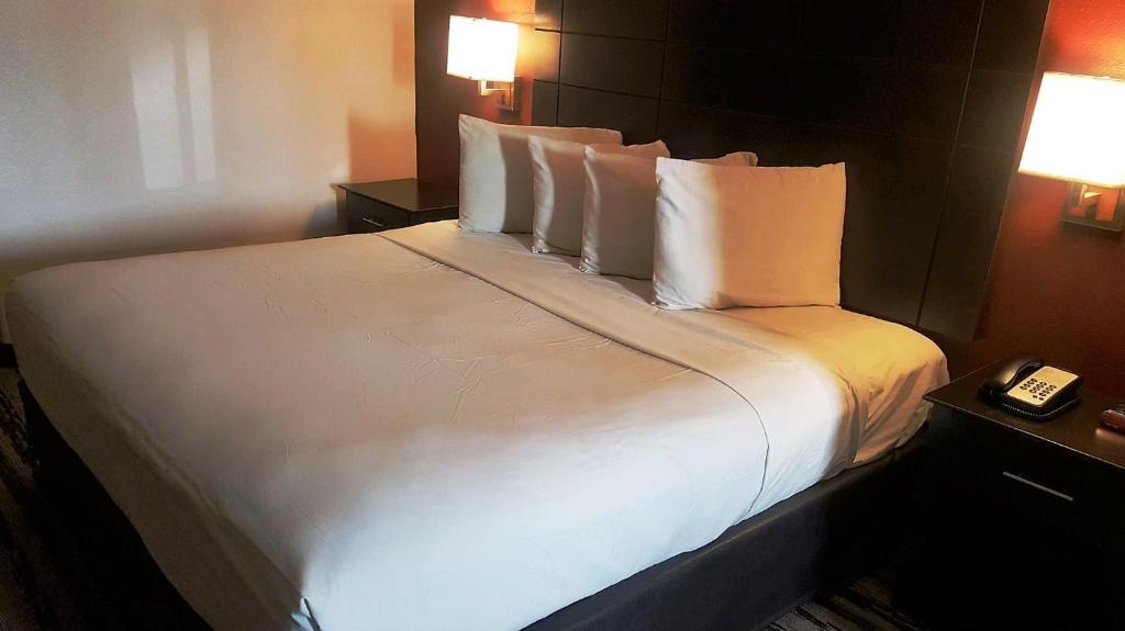 Red Roof Inn & Suites Houston – Humble/IAH Airport image 11