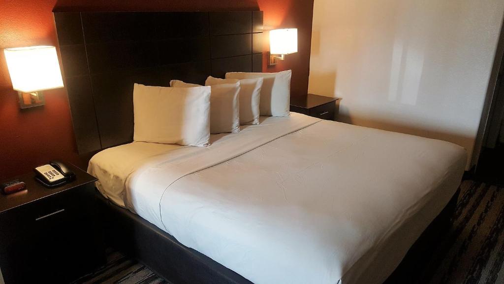 Red Roof Inn & Suites Houston – Humble/IAH Airport image 9